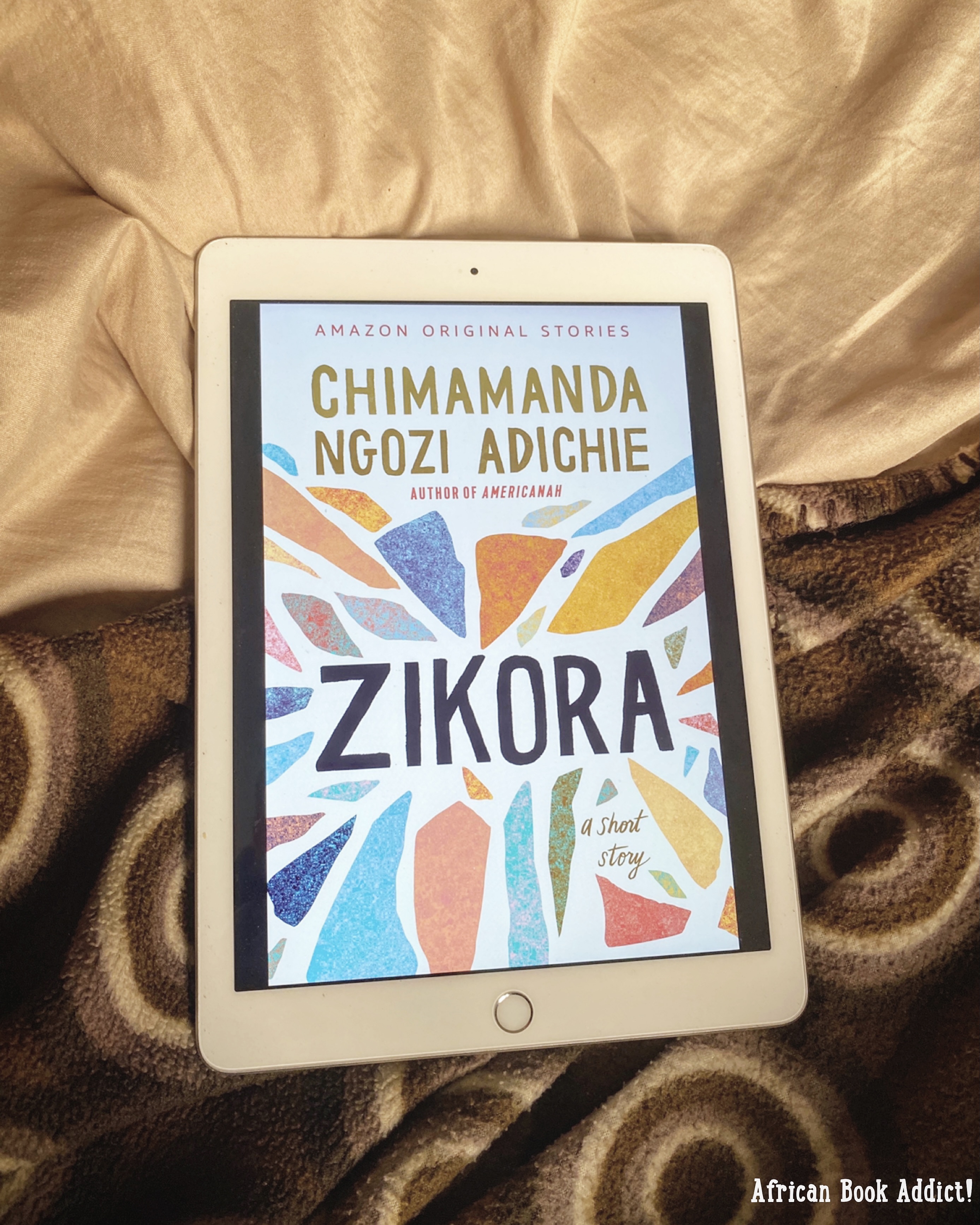 Zikora by Chimamanda Adichie, transphobia and more – African Book